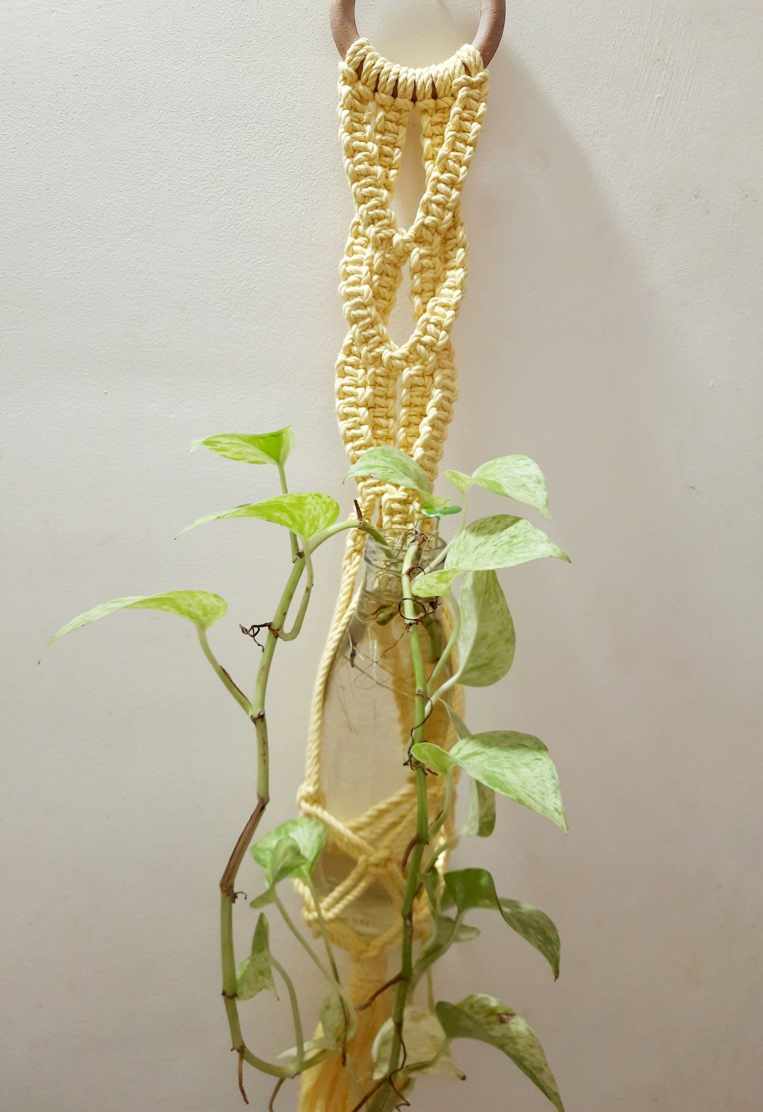Macrame Plant Hanger