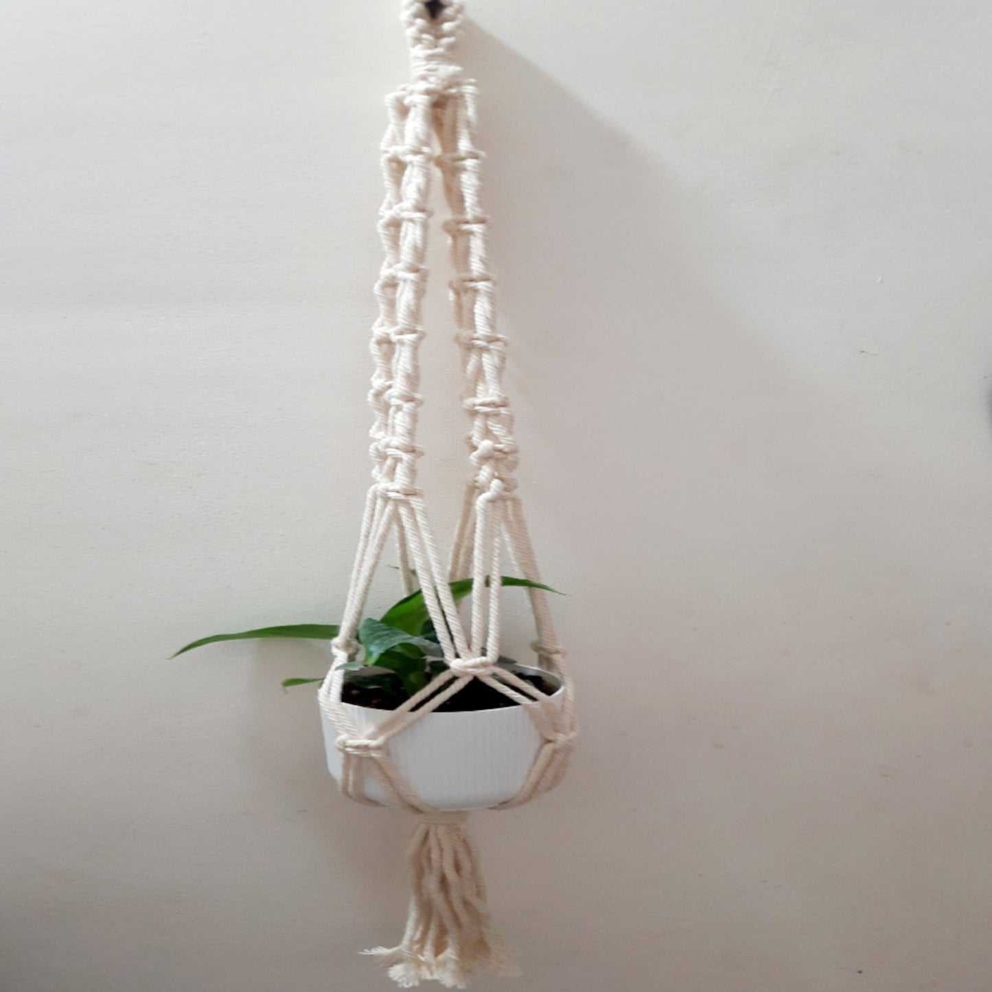 Macrame Plant Hanger
