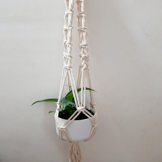 Macrame Plant Hanger
