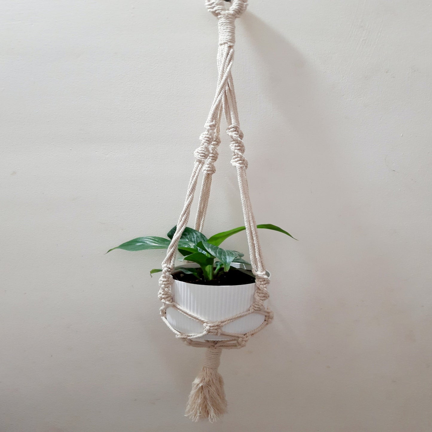 Macrame Plant Hanger