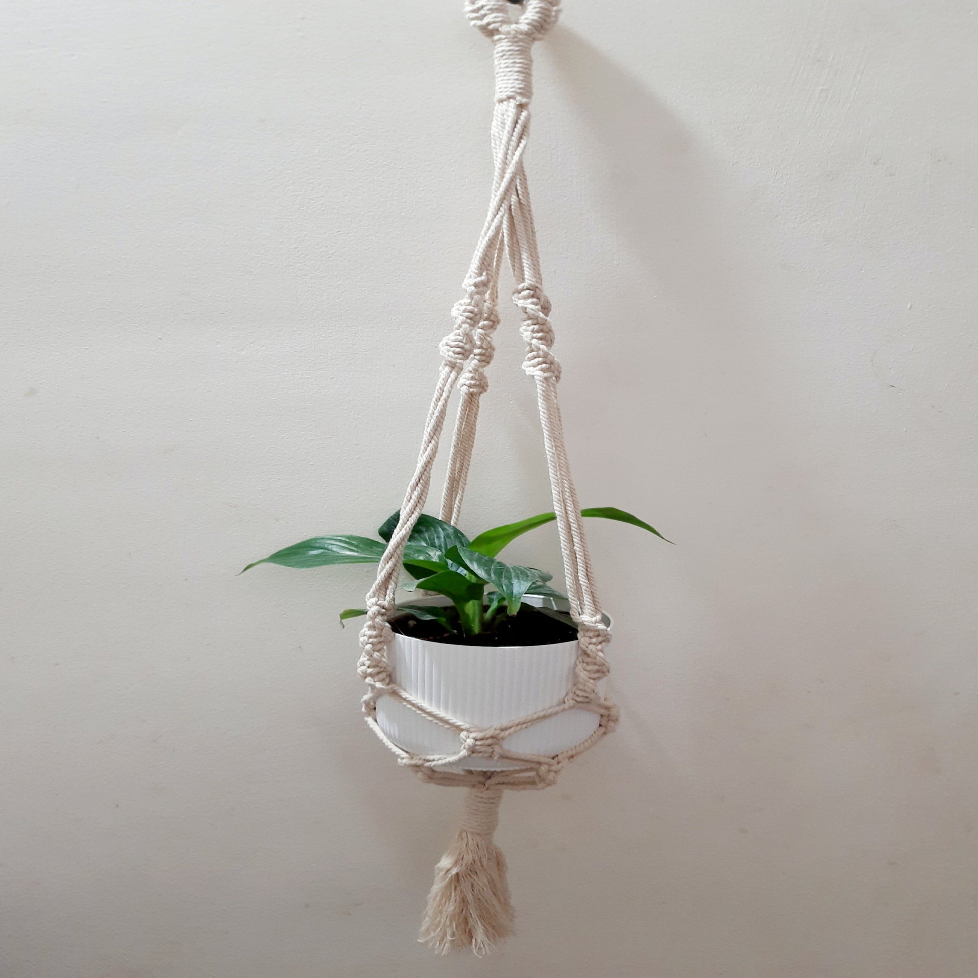 Macrame Plant Hanger