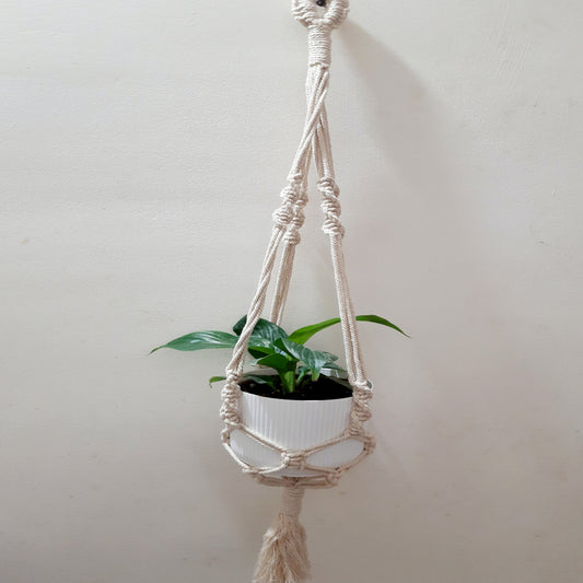 Macrame Plant Hanger