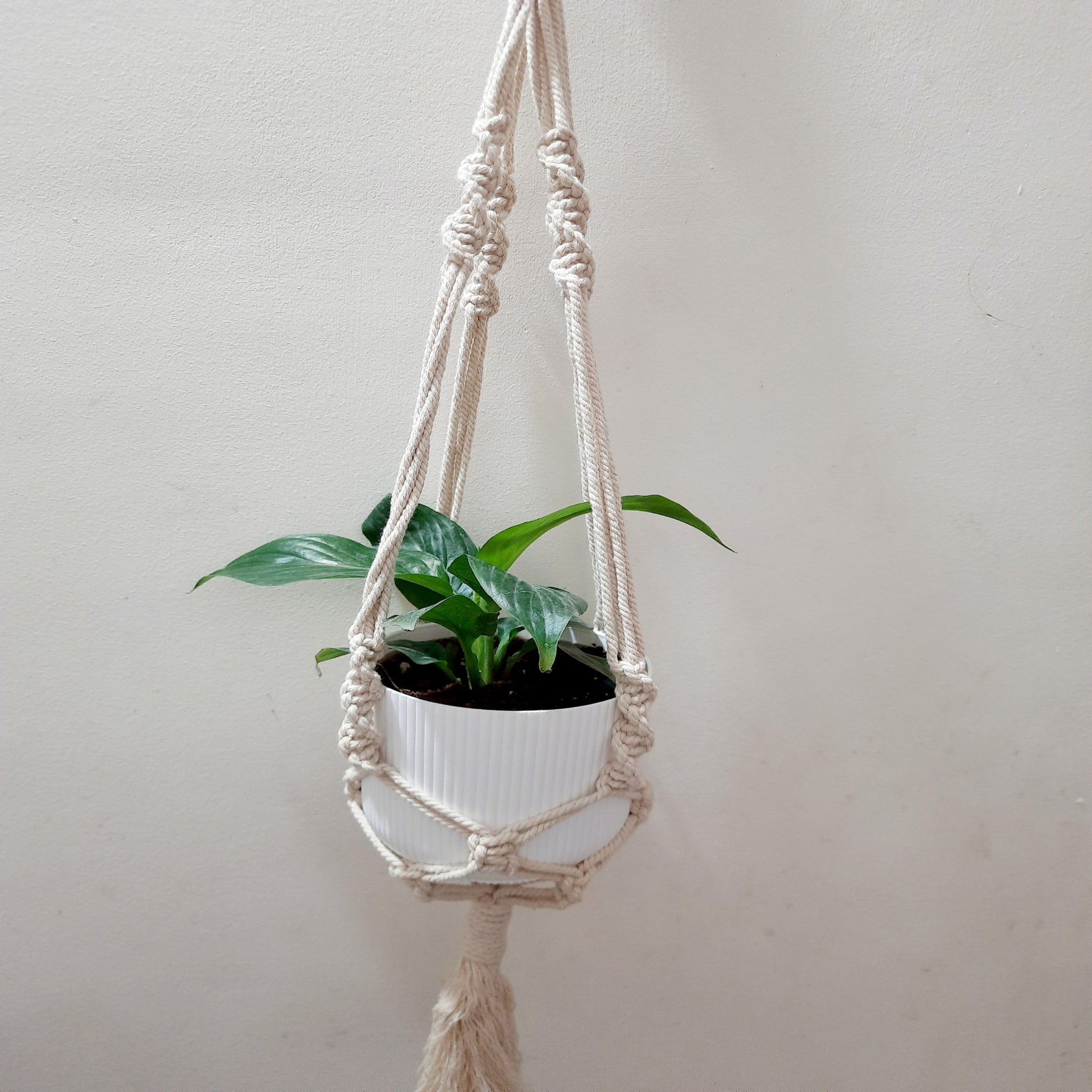 Macrame Plant Hanger