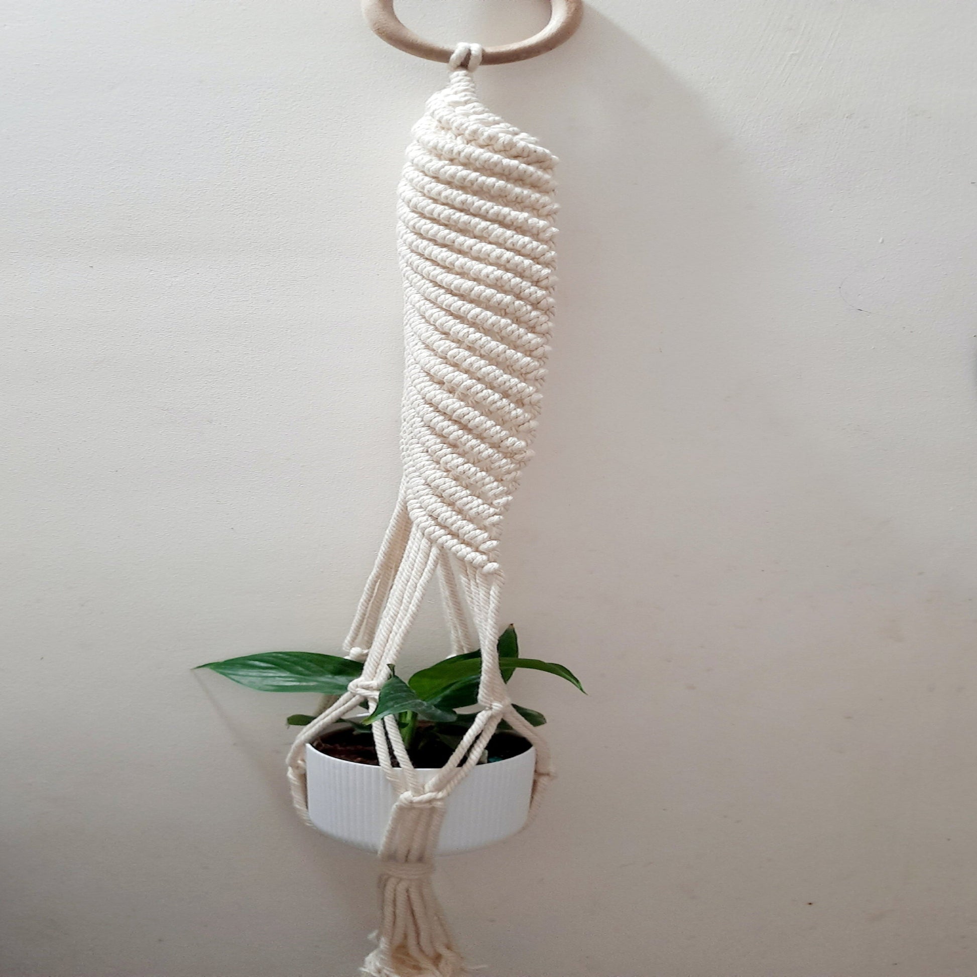 Macrame Plant Hanger