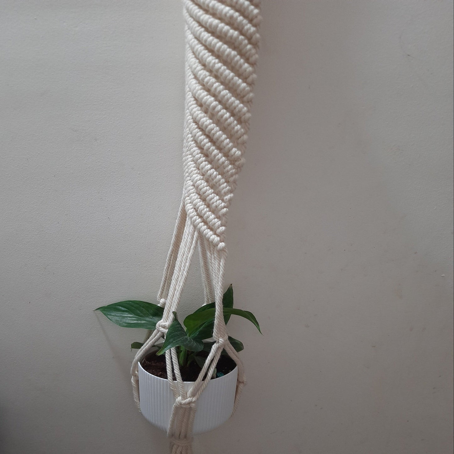 Macrame Plant Hanger
