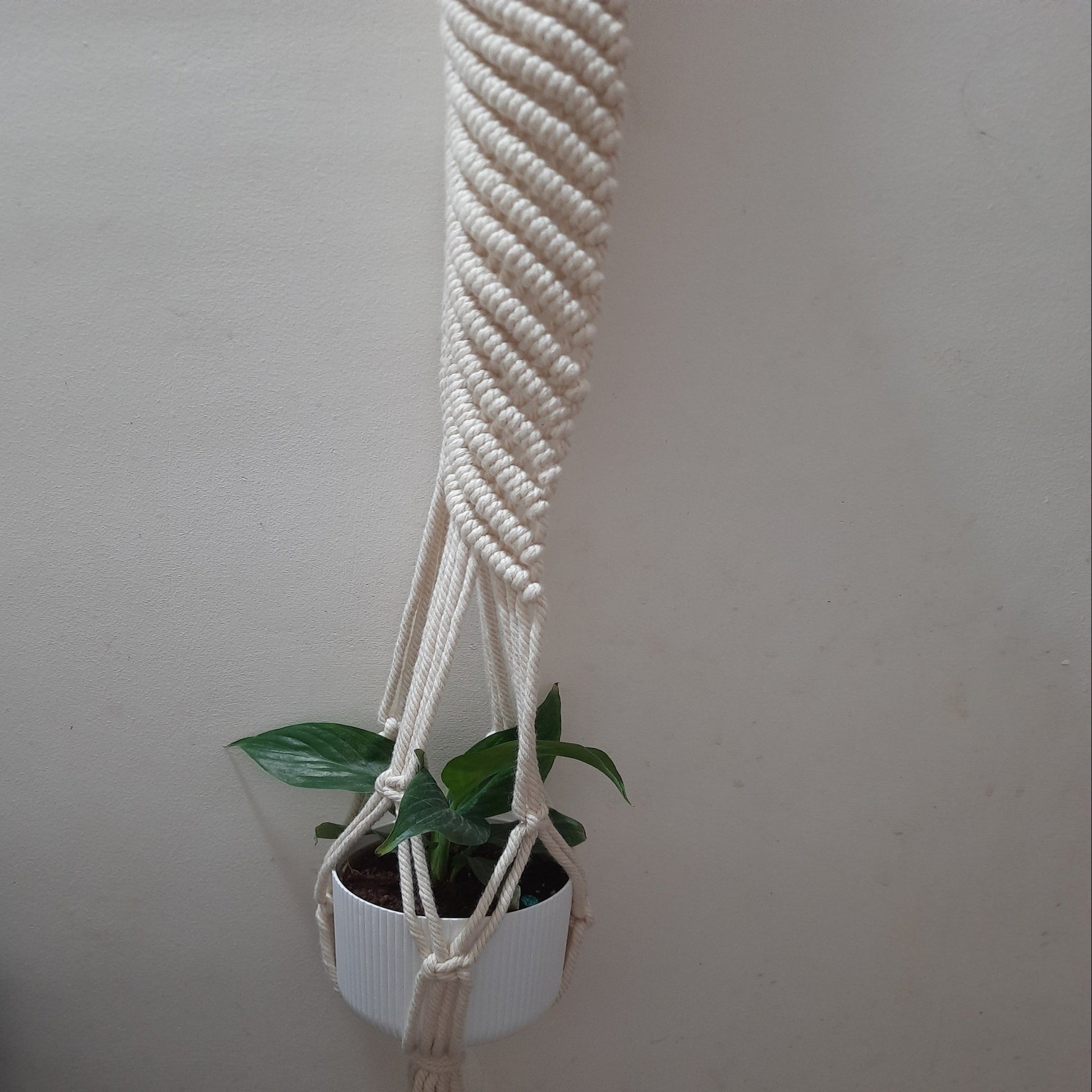 Macrame Plant Hanger
